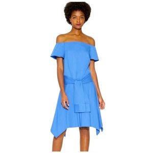 Halston Poplin dress 💎! Gorgeous color